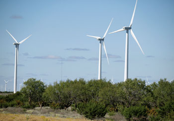 Horse Hollow Wind Energy Center near Abilene