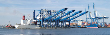 Port of Charleston's new terminal