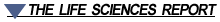 Exclusive web-only content