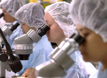Florida biotechnology research at work