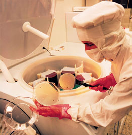Silicon Wafer