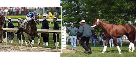 Smarty Jones